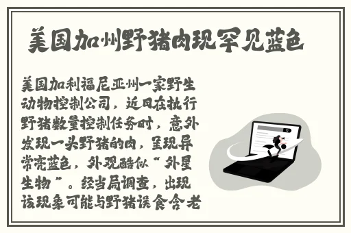 翰林府吃瓜最新网站